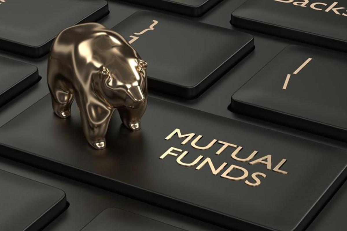 Tracking Your Mutual Fund Investments and Performance through Long-Term Growth MF Investment Strategies